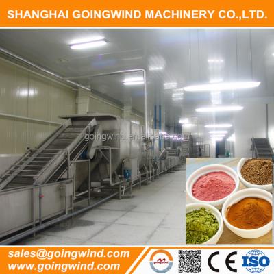 China fruit & automatic vegetables lemon juice powder making machine fruit juice powder production line factory equipment good price for sale for sale