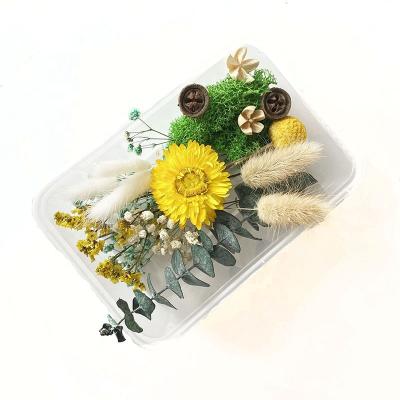 China Mixed natural and preserved contact dry flowers for DIY for sale