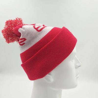 China COMMON Wholesale Winter Ponytail Beanie Hat Knitted Pom Men Beanie Hat for sale