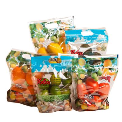 China BIODEGRADABLE anti-fog plastic fresh vegetable packaging bag with zipper for sale