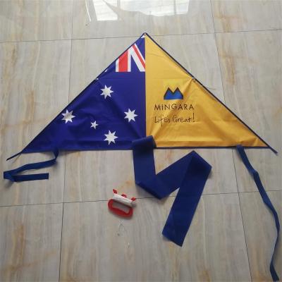 China Polyester advertising promotion delta state kite color triangle kite customization for sale