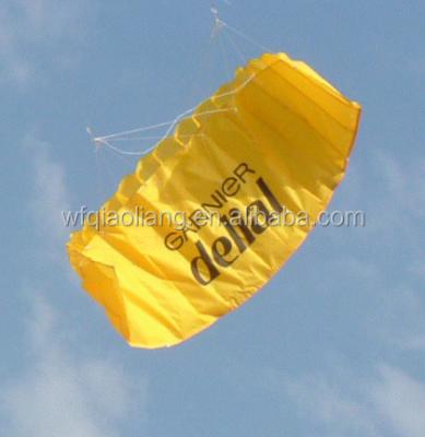 China Promotional Custom Polyester Logo Wing Umbrella Kite for sale