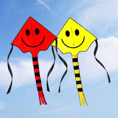 China Large Cartoon Nylon Kids Kite for sale