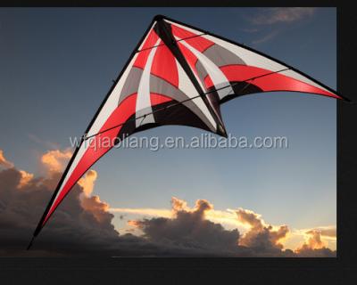 China Custom Advertising Polyester Logo Stunt Kite for sale