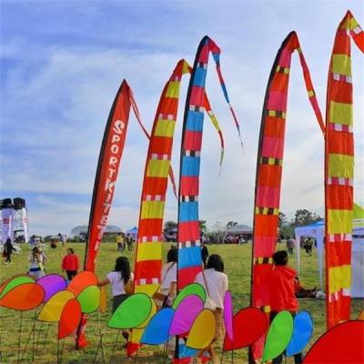 China Polyester Kite Banner Beach Flag Bunting Windsurfing Flag for sale