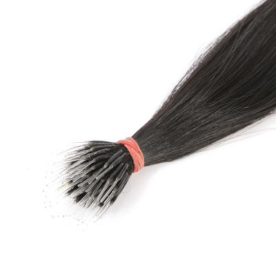 China 100% Professional Pulled Jerry Curl Wholesale Double Hair Vendor Nano Ring Hair Extensions Nano Ring Hair Extensions for sale