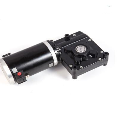 China High torque 12v dc worm gear explosion proof 24v brushed motor for winch for sale