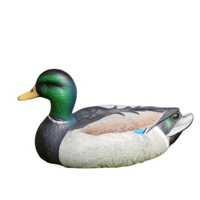 China Shooting Baits New Model Popular Outdoor Plastic PE Drake Duck Hunting Decoys for sale