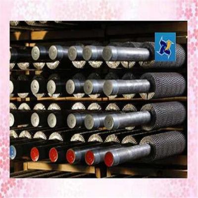 Κίνα Heater Parts Top Quality Metal Spiral Fin Tube προς πώληση