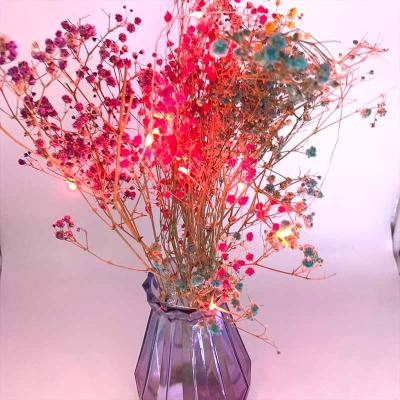 China LH-BOM-YHD200WW Wedding Party Festival Christmas Decoration Light LED Holiday Lights Outdoor String Light for sale