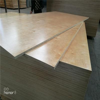 China Full Consmos Birch Plywood B/BB BB/CP Traditional Russian Baltic Birch Plywood for sale