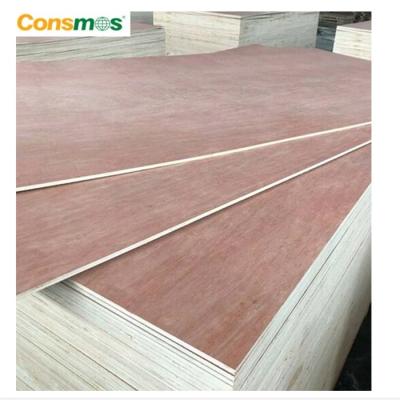 China Modern Bintangor 4 x Bintangor Commercial Plywood 18mm Plywood 8 Best Quality for sale