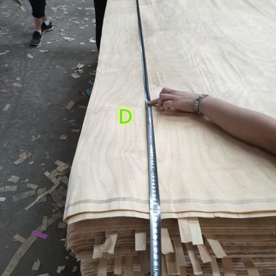 China Cheap Farm Factory Sale FSC Certified White Birch Veneer Rotary Cut for sale