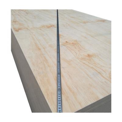 China Modern CDX Pine Plywood Sheet 1220x2440mm China Factory Direct Supply for sale