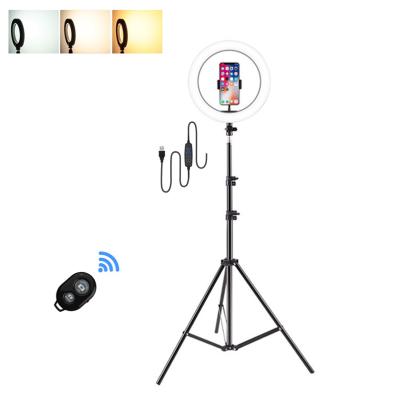 China Wholesale 10 Inch PORTABLE Selfie 360 ​​Ring Light Small Circle Led Light With 2m Tripod Blue Tooth Remote Control For YouTube for sale