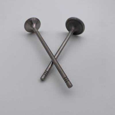 China In Stock 11347533884 11347533885 Engine Intake Exhaust Valve For Bmw Mini N12 N16 MINI COUPE (R58) for sale