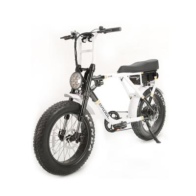 China New ebike 750W aluminum alloy motor 48V 15Ah 36v 24volt lithium ion battery 20In fat tire electric mountain bike for sale