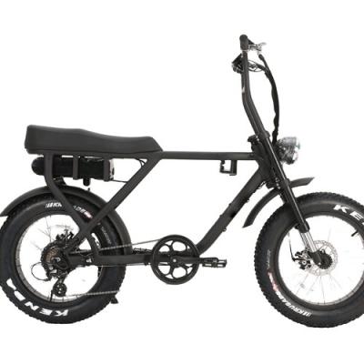 China Bici Eletrica 48V 1000W Aluminum Alloy Fat/Dirt Mountain Electric Bike 73 Super Tire Bicycle EBike Folding Fat Tire Electric Bike For Sale for sale