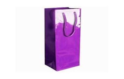 China Pantone Print Gloss Finish Paper Wine Bags For Holiday , Christmas , Birthday for sale