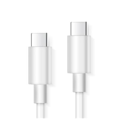 China 2020 hot selling cell phone type c to type c white usb charging cable 20v 5a cables charger usb cable fast for android cell phone for sale