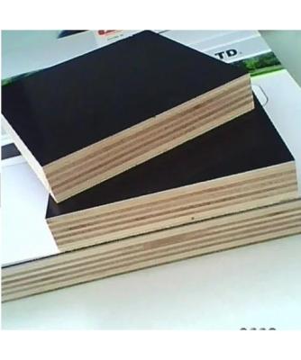 China Modern New List Commercial Film Faced Sheet Hardwood Plywood For Formwork for sale