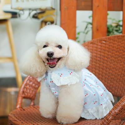 China GeerDuo Factory Stocked Direct Sales Lace Up Design Cherry Print Pet Clothes Pettiskirt For Dogs And Cats for sale