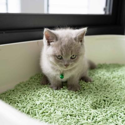 China Matertial Water Absorption Clumping Natural Non-Toxic Instant Fast Tofu Cat Litter For Kittens Viable for sale