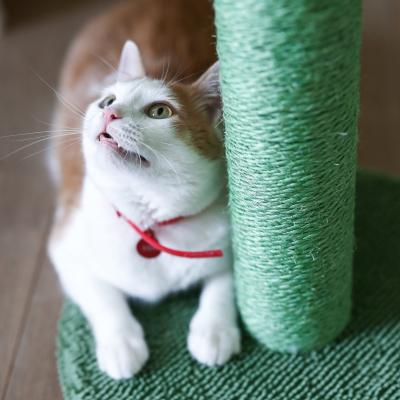 China Hot Selling Sustainable High Quality Multi Layers Cactus Nonwoven Fabric Vertical Climbing Scratching Frame For Cat for sale