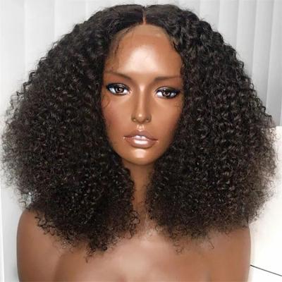 China Silky Straight Full Wig 100% Natural Afro Hair Wig For Women, Swiss Lace Front American Afro Curly Wave Lace Wigs for sale