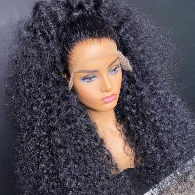 China Afro Curly 100% Hot Selling Product For Women Color Afro Kinky Curly Curly Full Lace Wig Brazilian Virgin Human Hair for sale