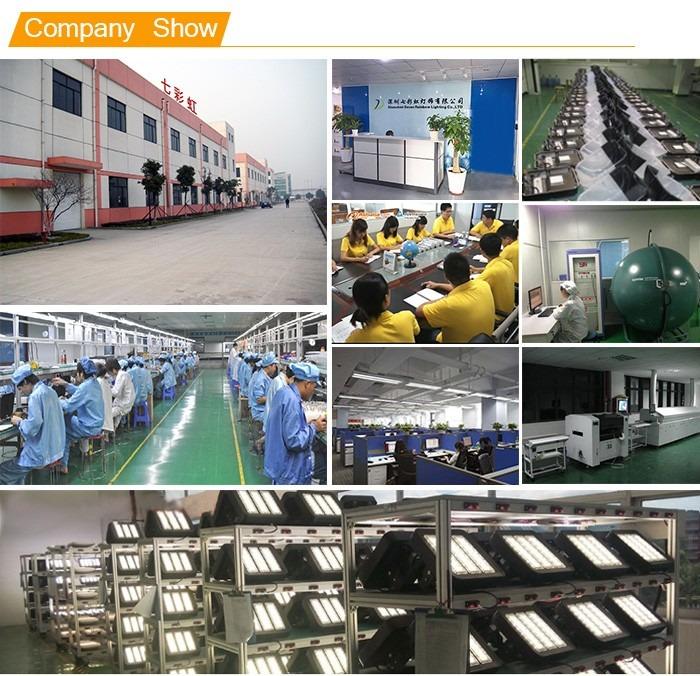 Verified China supplier - Yueqing High Quality Electric Co., Ltd.