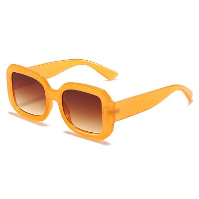 China Square Wholesale New Fashion Vintage Trendy Men Women Plastic Designer Shades Sun Glasses 2022 Sunglasses for sale