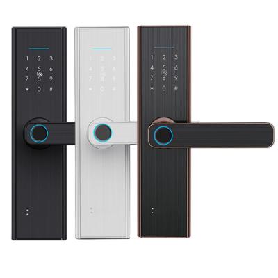 China TTlock Custom Waterproof Password Wifi Door Electronic Smart Home Door Locks Office Hotel Apartment Home Security Fingerprint Tuya Digital Smart Door Key Lock for sale