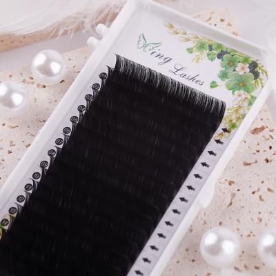 China Wholesale Qingdao SOBELLE Feather Different Volume High Quality Classic Lash Extensions Eyelash Extensions for sale