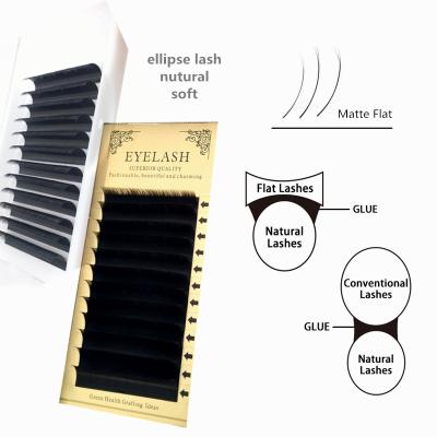 China Natural Soft Light Flat Ellipse Matte Black Flat Lashes Wholesale Private Label Eyelash Extensions for sale