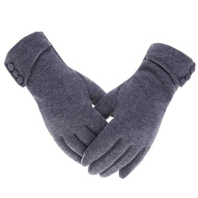 China Autumn Warm Velvet Gloves Wrist Windproof Mittens Winter Women Men Single Touch Screen Gloves Driving Ski Gloves for sale