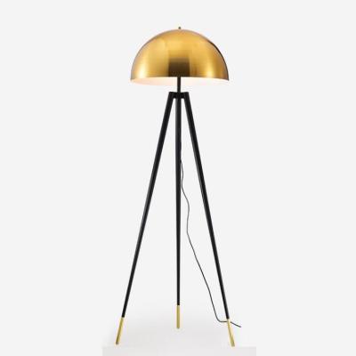 China ST-60215F-1 Modern Gold and Black Modern Floor Decorative Standing Lamps for sale