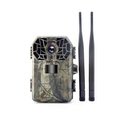 China New Design 4G LTE Live Stream Solar Powered Wireless System Cellular Remote Control Wildlife Trail Camera with SIM Card for sale