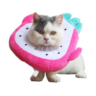 China Viable prevent licking and sharp headgear beautiful fruit shaped cover device pp fashion pp cotton collar 100% Elizabethan cotton S, M for sale