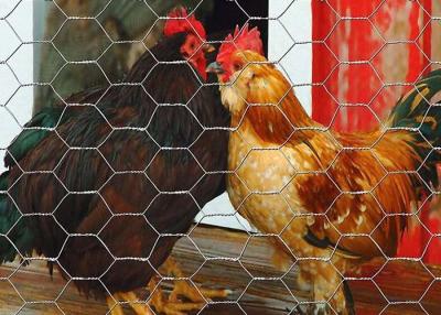 Κίνα Αρπακτικός φράκτης φρακτών καλωδίων μετάλλων αλιείας με δίχτυα πουλερικών φρουράς ναυπηγείων για τα κοτόπουλα προς πώληση