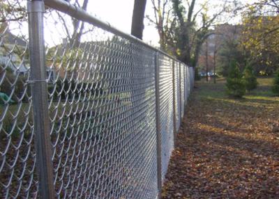 China 30x30 40x40 50x50 Galvanized Chain Link Fence Low Carbon Steel Wire for sale