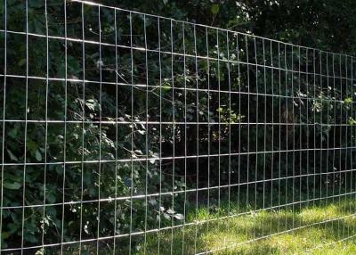 China Galvanized Welded Wire Rolled Fencing With Mesh Size 2-In X 4-In for sale