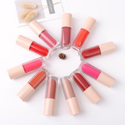 China Dropshipping Waterproof 26 Colors Waterproof Lip Gloss Matte Lip Gloss en venta