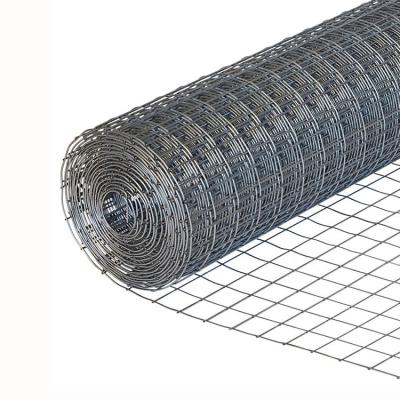 China Square Mail Factory Price Buckle Wire Mesh For China Market for sale