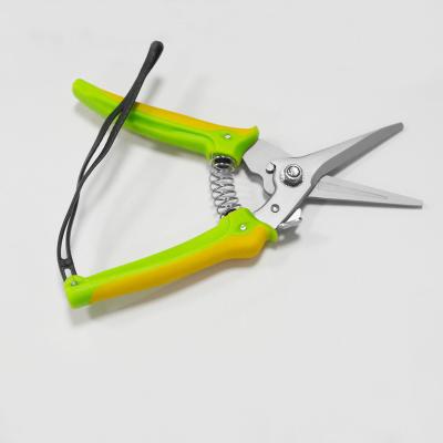 China Anti-Slip Handle Garden Tools Pruning Tree Shear Grape Pruner Cutting Scissors for Garden Grape Blossom Shears for sale