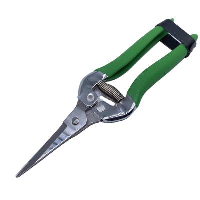 China New Anti-skid Handle Ratchet Blade Grape Fruit Shears Gardening Tools Trimmer for sale