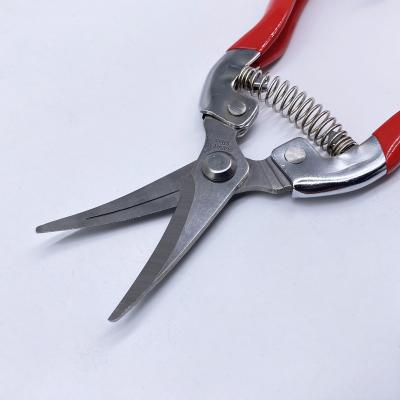 China Useful Anti-Slip Handle Grape Scissors With Soft Glue Handle Gardening Scissors for sale