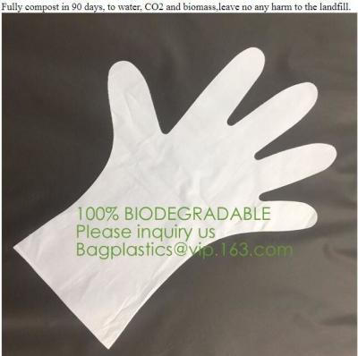 China Biodegradable and compostable PLA gloves,OEM cheap biodegradable kitchen disposable gloves with EN13432 BPI OK compost h for sale