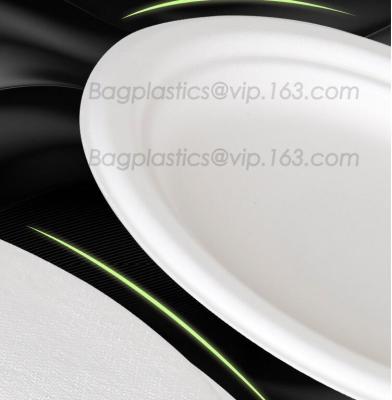 China white circular paper dinner plates with PLA coating film, tableware, Light Industry & Daily Use, Tableware, Plates for sale