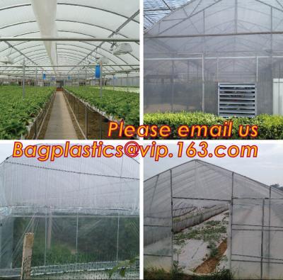 China 100% new LDPE green house plastic clear covering film,anti drip tomato Hydroponics agricultural plastic film for sale